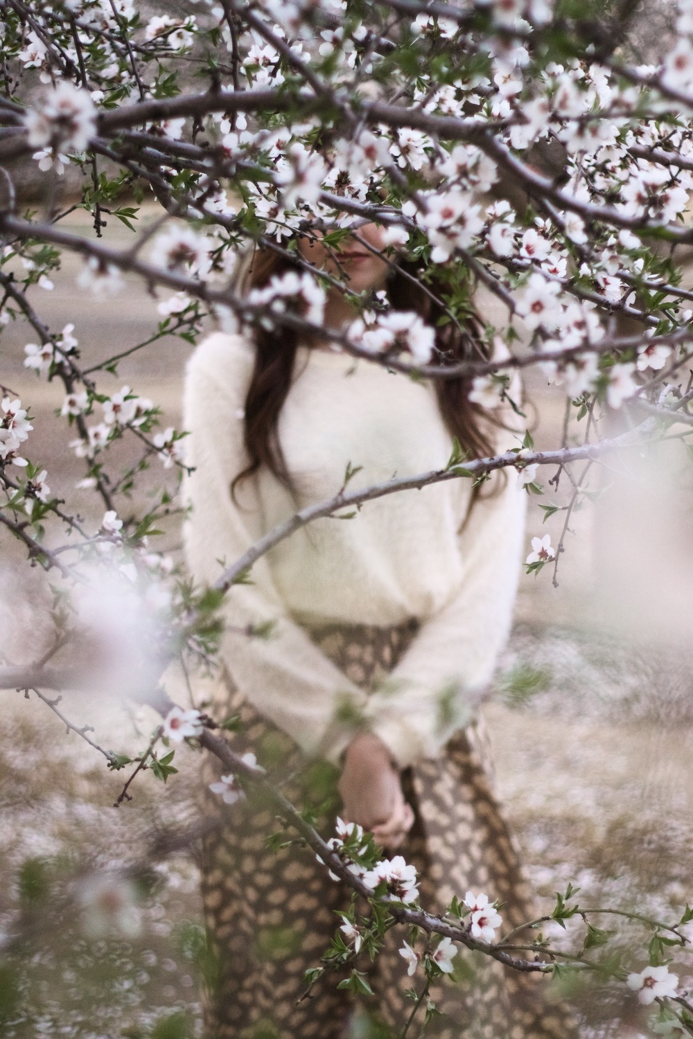 Blossoms
