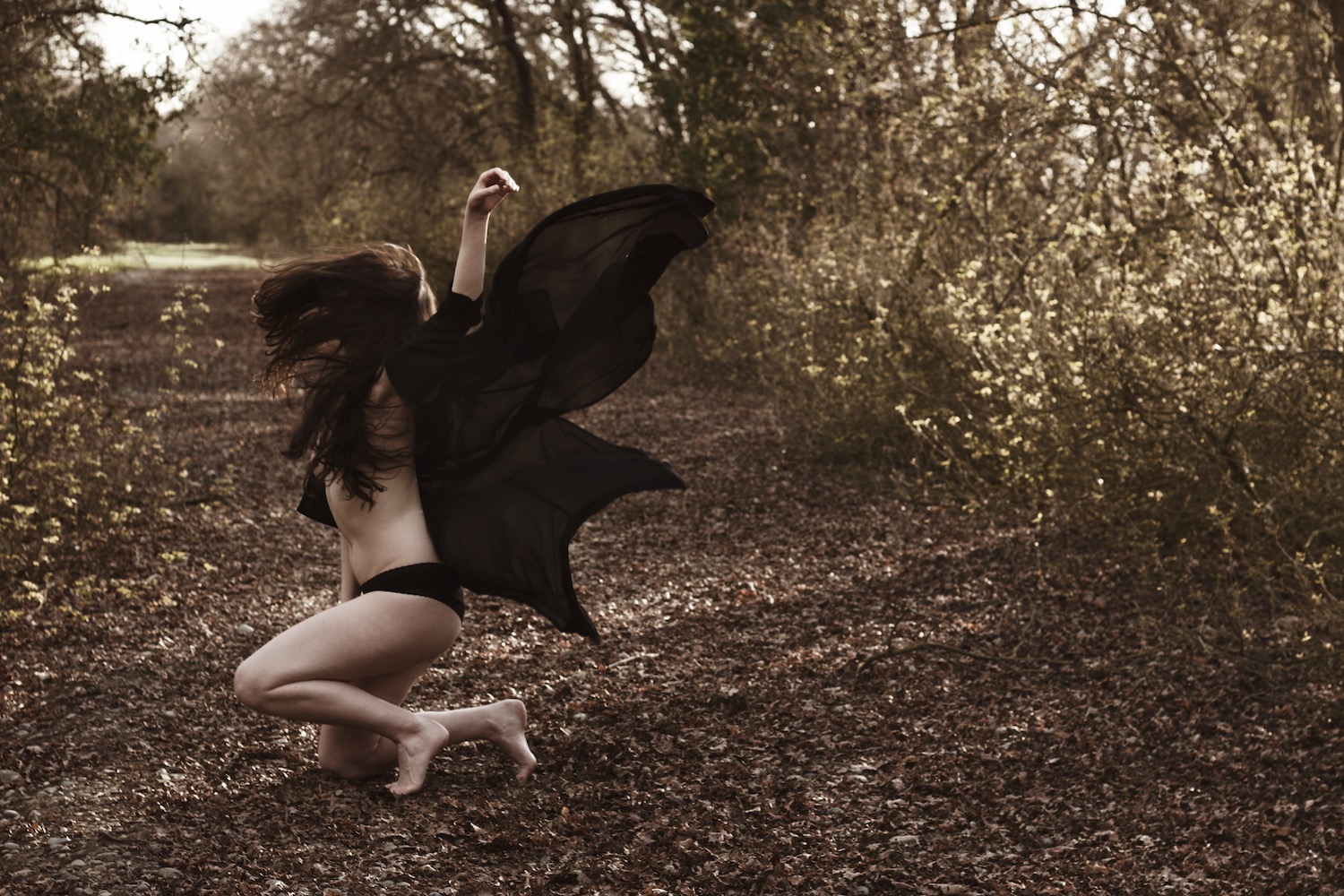 Fairy Dust
