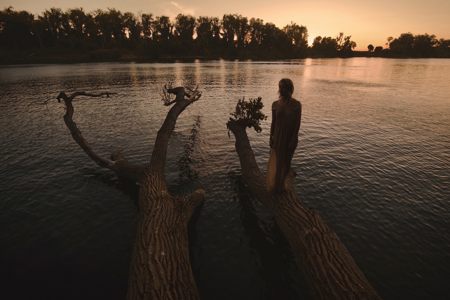 Golden River