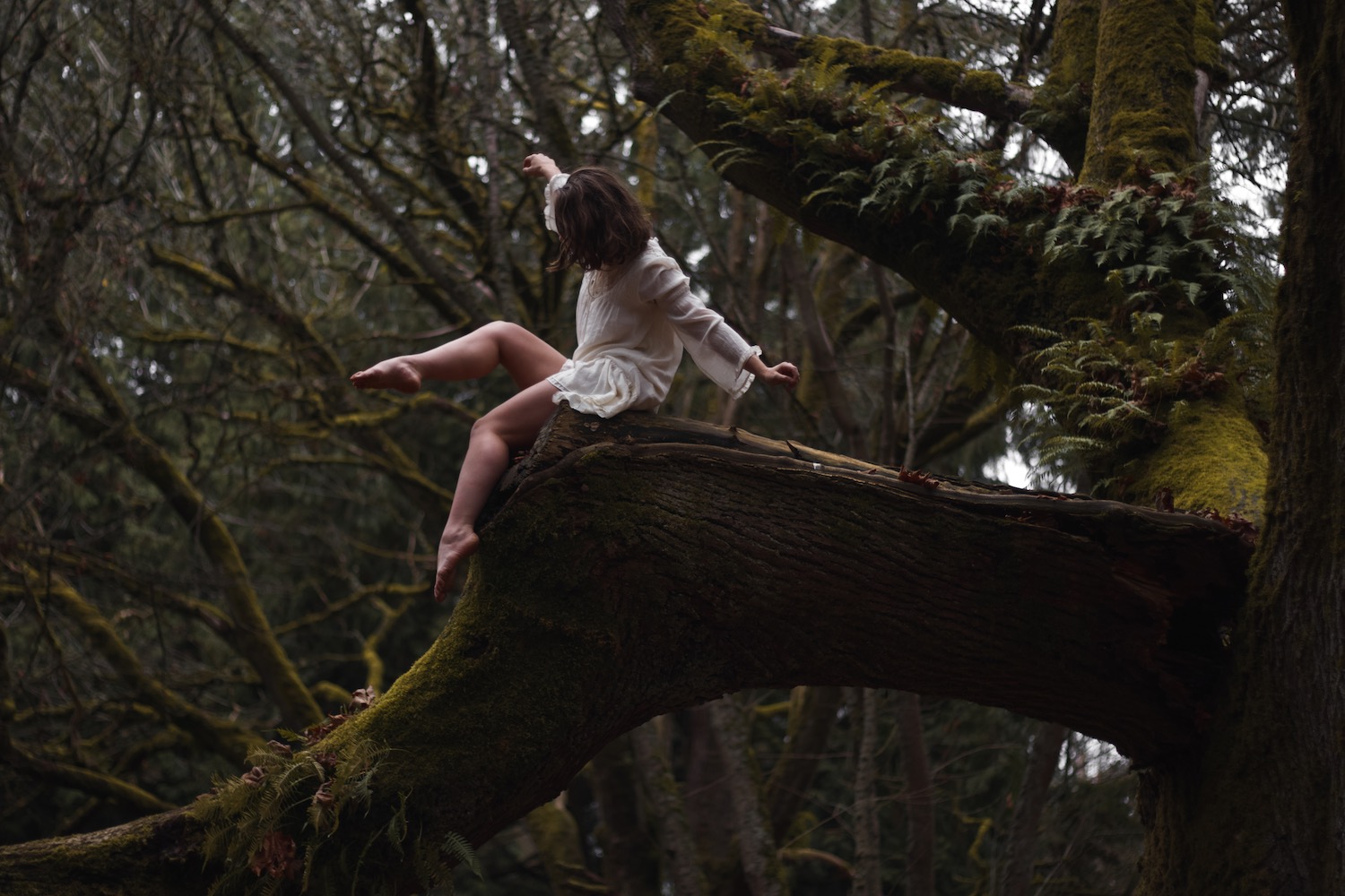 Woodland