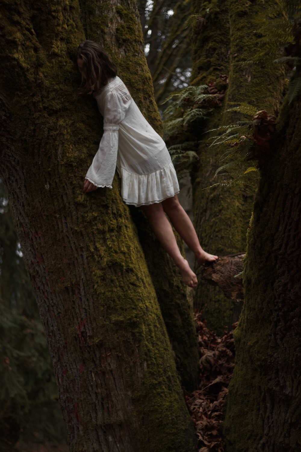 Woodland