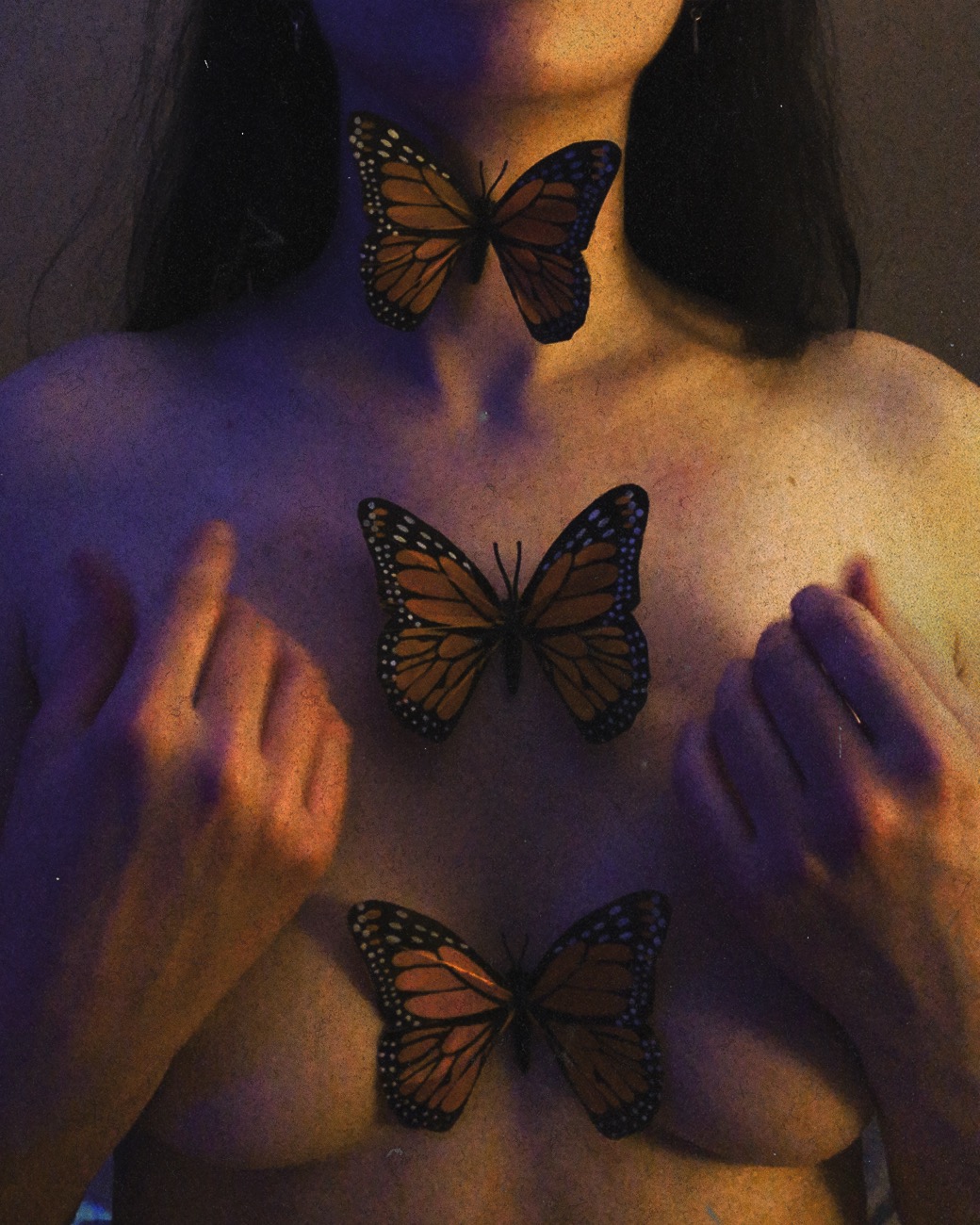 Butterflies