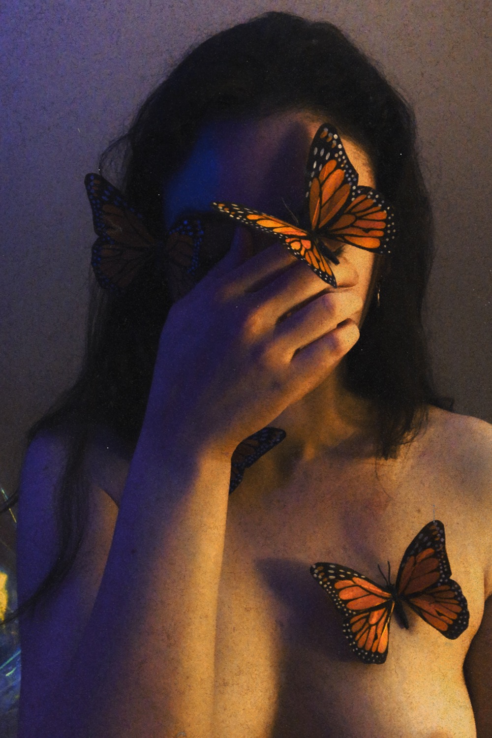 Butterflies