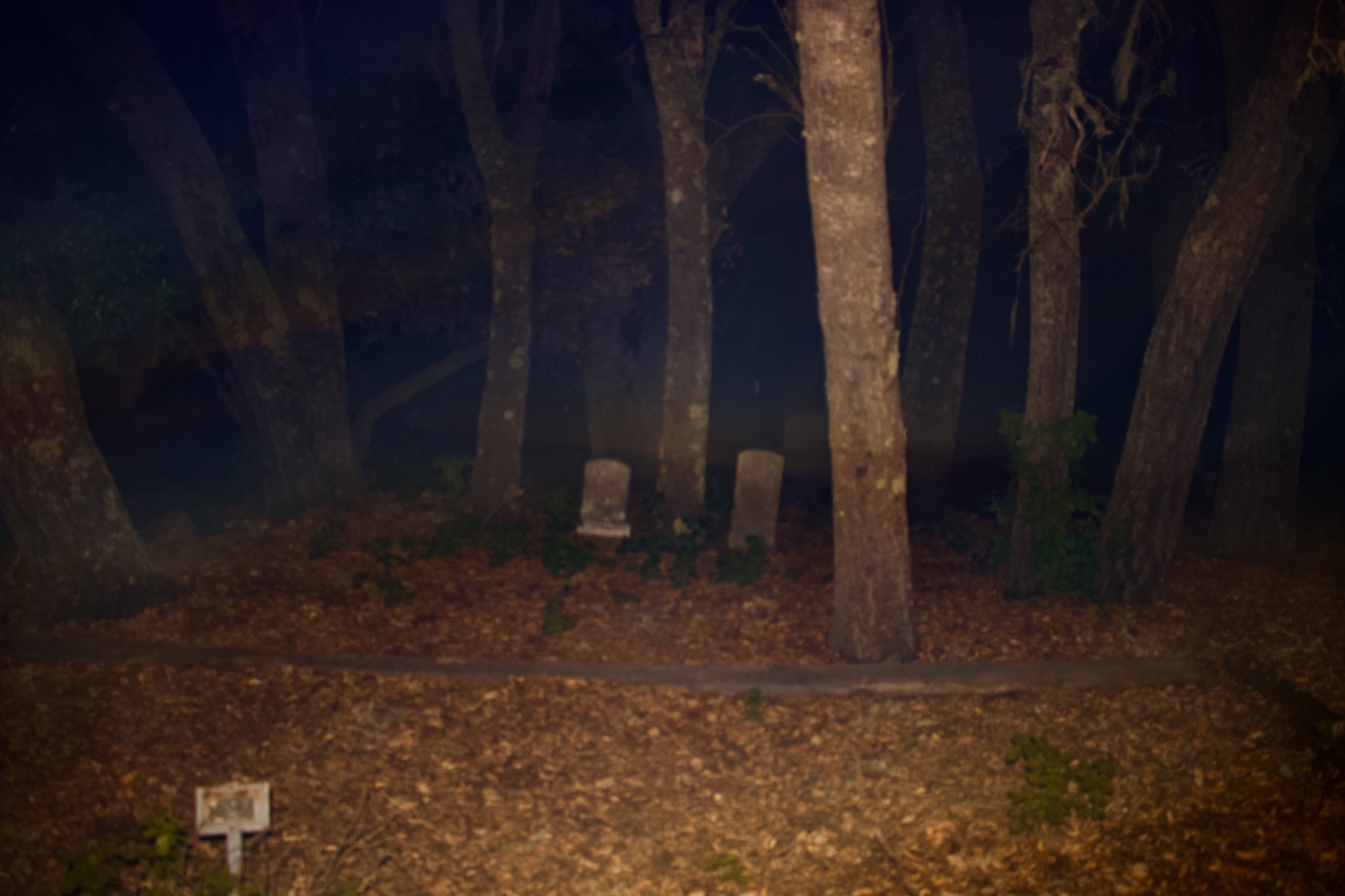 Midnight Graveyard