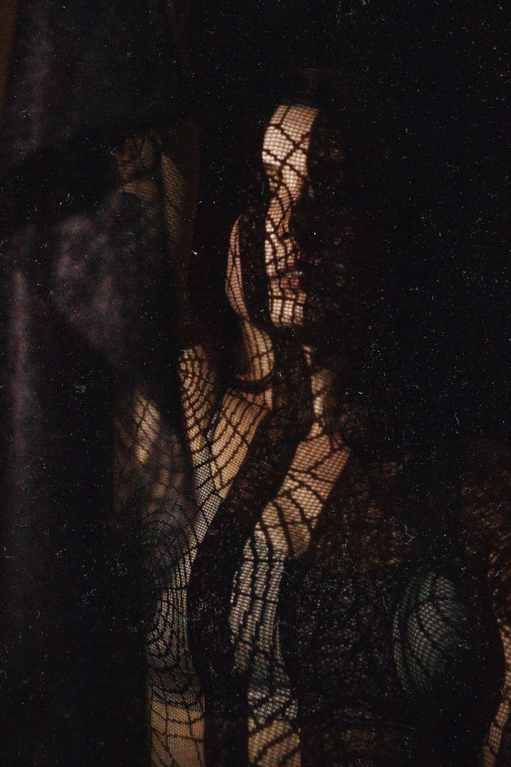 Hannah Web
