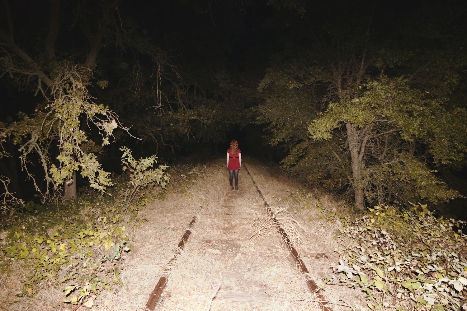 Nocturnal Railroad