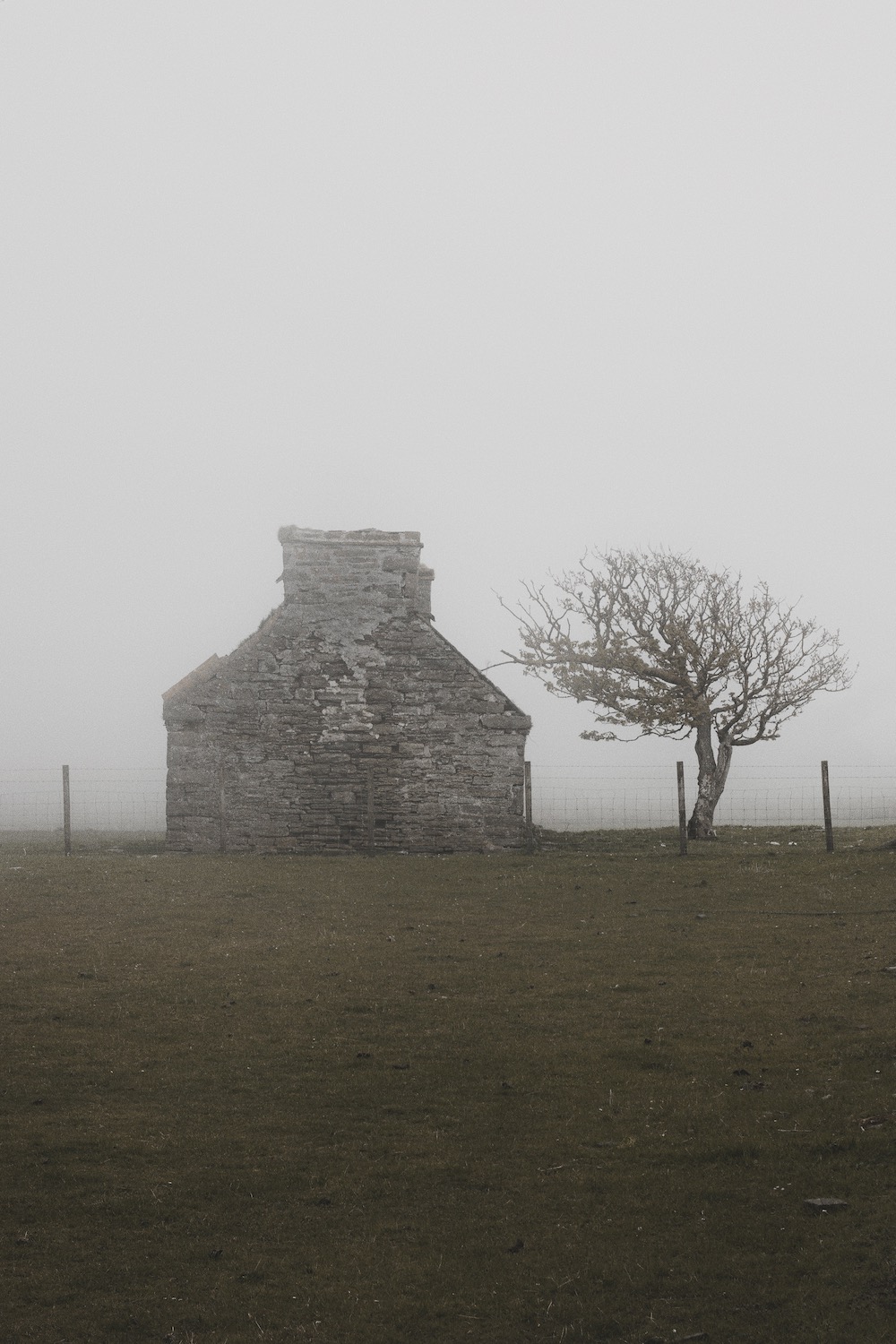 House and Tree and Fog