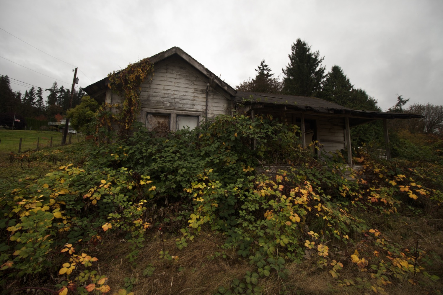 Snohomish House